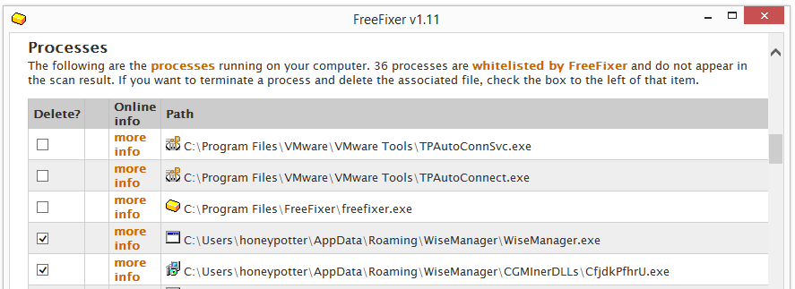 wisemanager.exe and cfjdkPfhrU.exe processes
