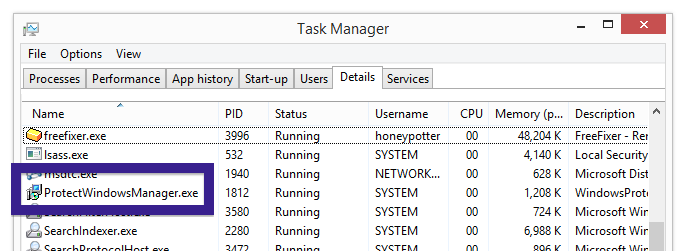 ProtectWindowsManager.exe task manager