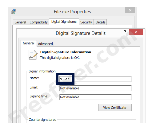 Screenshot of the 9-Lab certificate