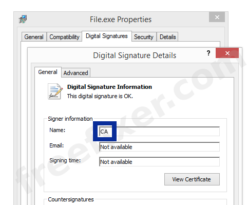 Screenshot of the CA certificate