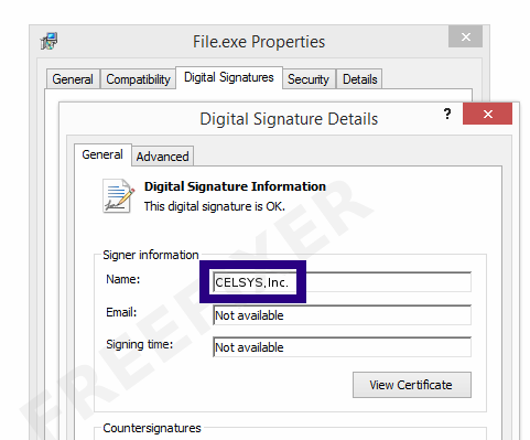 Screenshot of the CELSYS,Inc. certificate