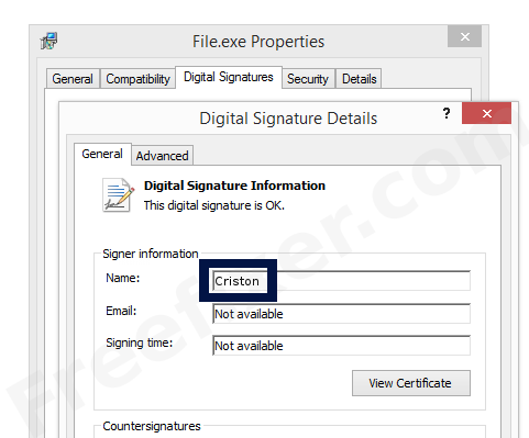 Screenshot of the Criston certificate