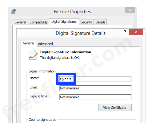 Screenshot of the Cyebiz certificate