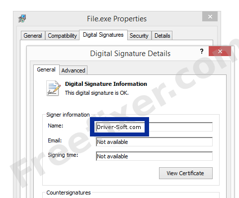Screenshot of the Driver-Soft.com certificate
