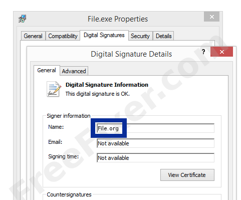 Screenshot of the File.org certificate