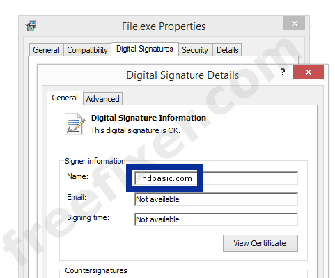 Screenshot of the Findbasic.com certificate