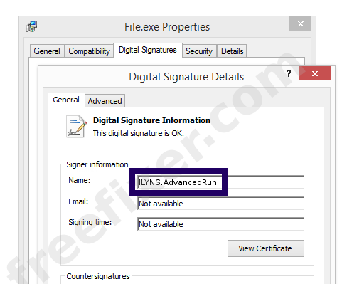 Screenshot of the ILYNS.AdvancedRun certificate