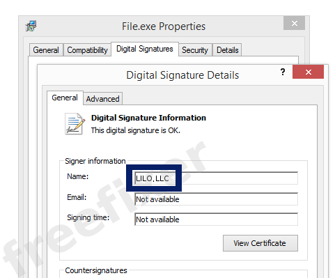 Screenshot of the LILO,LLC certificate