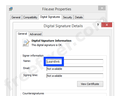 Screenshot of the Lizardlink certificate