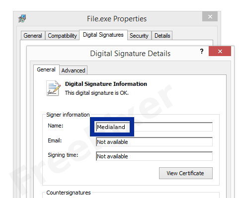 Screenshot of the Medialand certificate