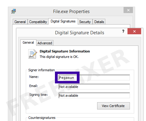 Screenshot of the Pegasun certificate