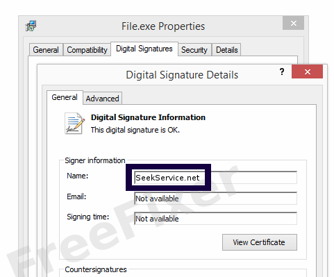 Screenshot of the SeekService.net certificate