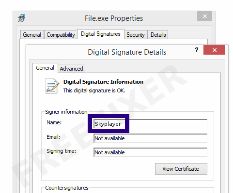 Screenshot of the Skyplayer certificate