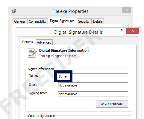 Screenshot of the Synei certificate