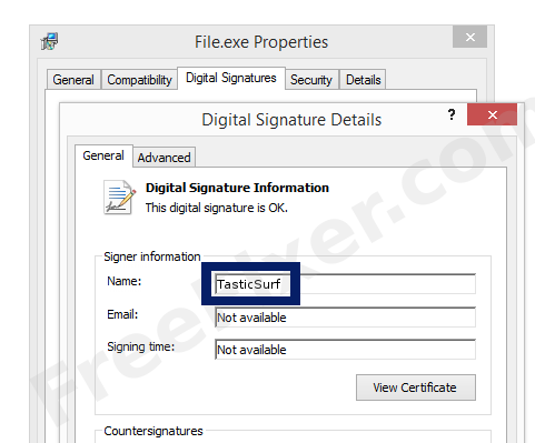 Screenshot of the TasticSurf certificate