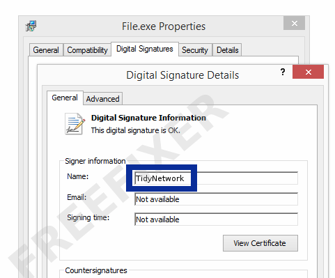 Screenshot of the TidyNetwork certificate