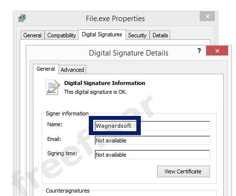 Screenshot of the Wagnardsoft certificate