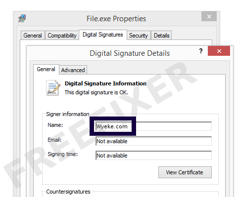 Screenshot of the Wyeke.com certificate