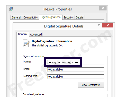 Screenshot of the boissytechnology.com certificate