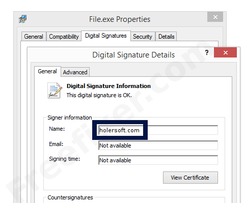 Screenshot of the holersoft.com certificate