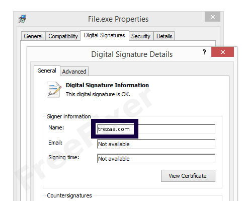 Screenshot of the trezaa.com certificate