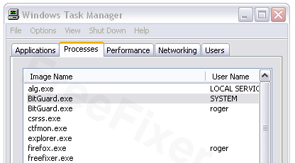 BitGuard's two bitguard.exe processes in the Task Manager